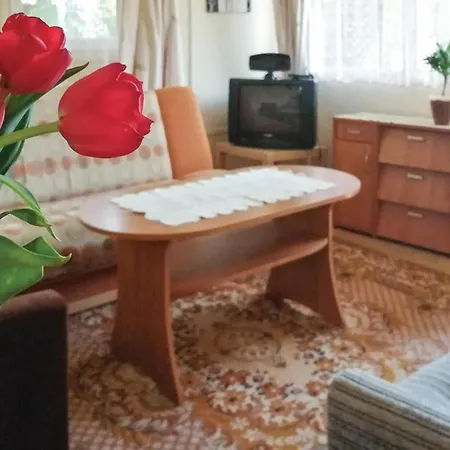 1 Bedroom Pet Friendly Home In Morag 別荘