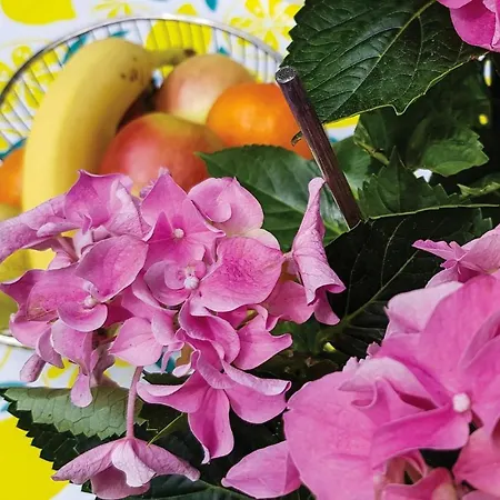 Morag Kretowiny V Casa vacanze *